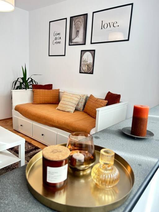 Charming Treasure - Centre Apartment Timisoara