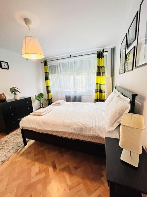 Charming Treasure - Centre Timisoara