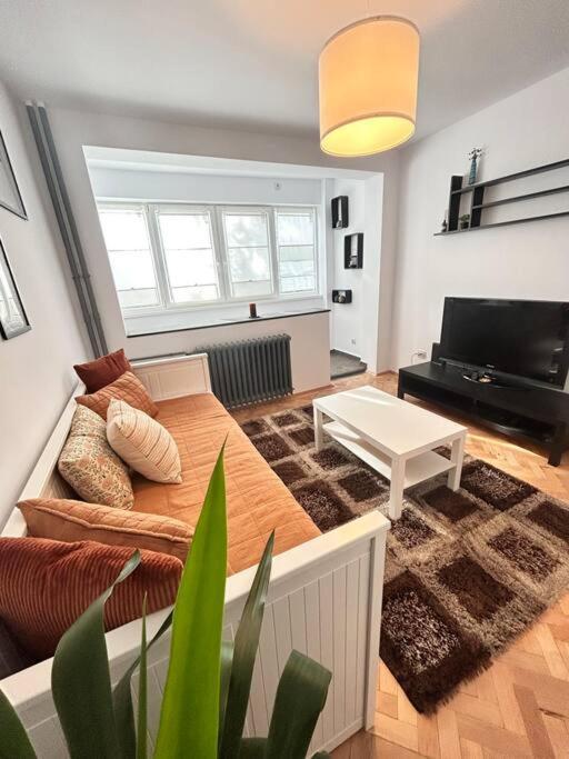 Charming Treasure - Centre Apartment *