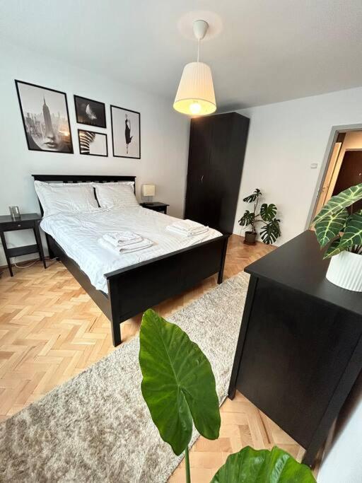 Charming Treasure - Centre Appartamento Timisoara
